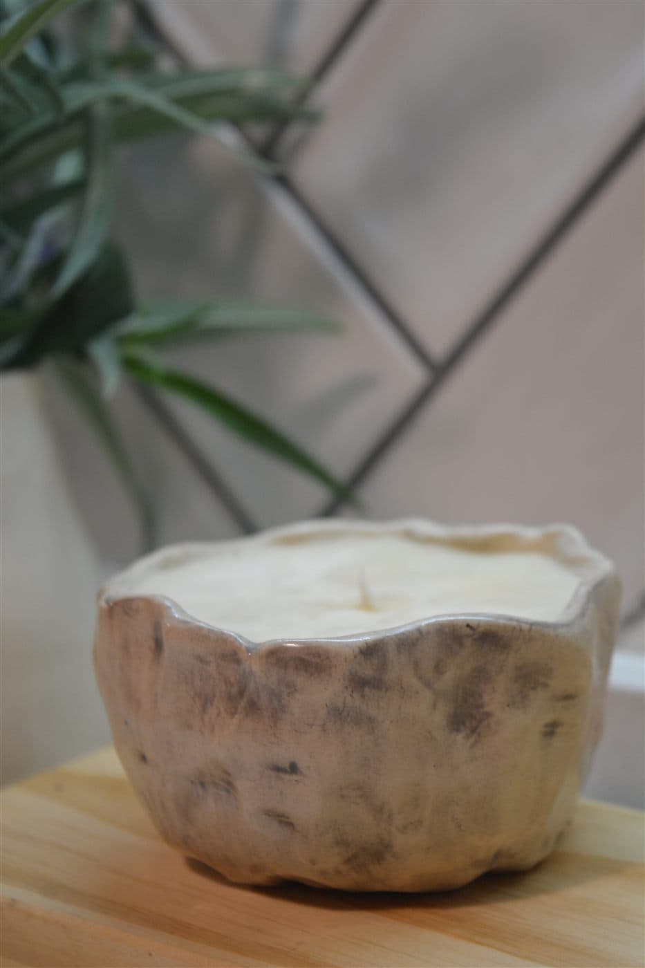 Vela Pina